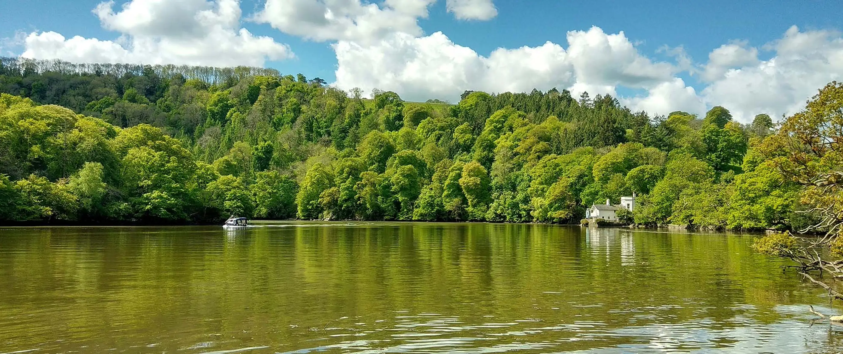 The River Tamar at Bere Ferrers