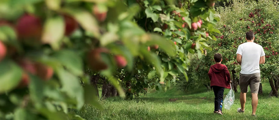 Apple Group Meeting