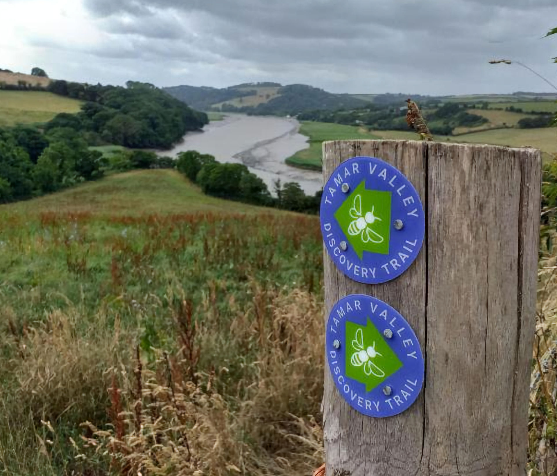 The Tamar Valley near Bere Ferrers
