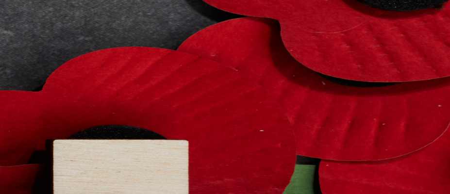 Remembrance Sunday at The BFS Club, Bere Ferrers
